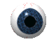 yeux3.gif (26986 bytes)